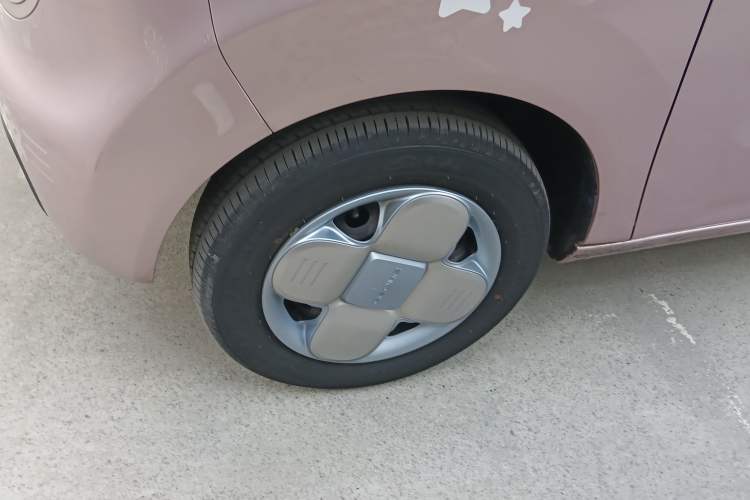 Used  Panda 2023 Panda Mini 200km Endurance Bear
