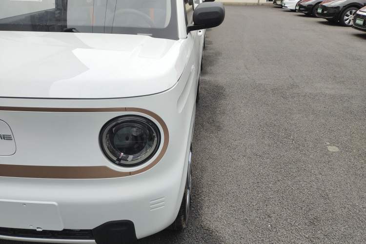 Used  Panda 2024 Panda Mini 200km Endurance Bear