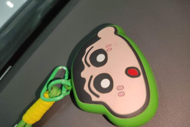 Used Tank 300 New Energy 2024 Hi4-T
