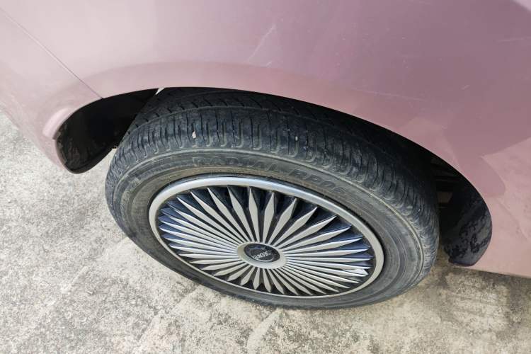 Used  Panda 2023 Panda Mini 200km Endurance Bear
