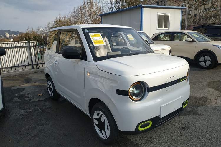 Used  Panda 2025 210 km – Yuanqi Bear

