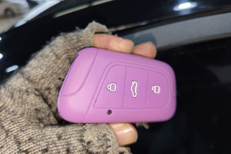 Used Chery Little Ant 2022 Sweet Pink Edition Half-Sugar Version Lithium Iron Phosphate 29.2 kWh 30 kW 301 km