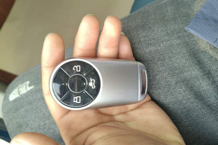 Used ORA Good Cat 2024 401 km Luxury Version
