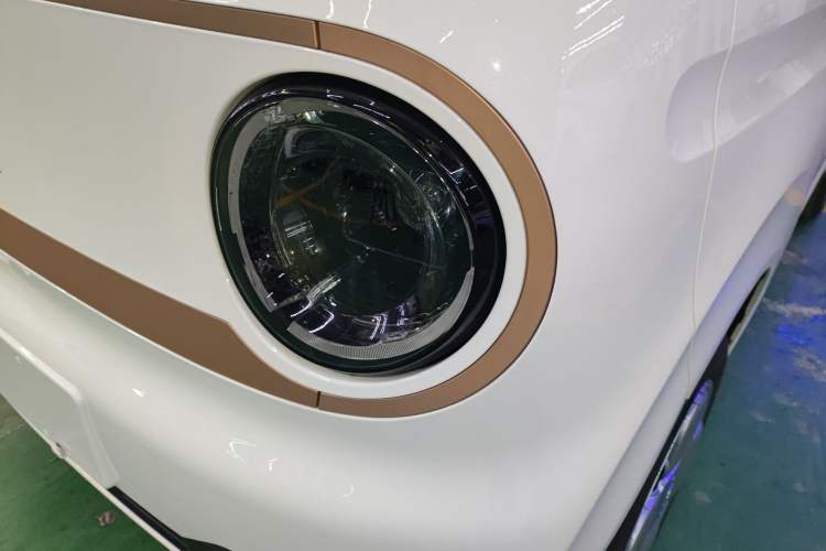 Used  Panda 2024 Panda Mini 200km Endurance Bear