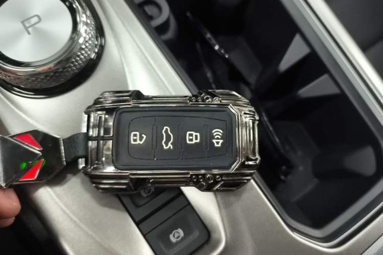 Used Haval DARGO 2024 2.0T DCT Chinese Rural Dog Edition
