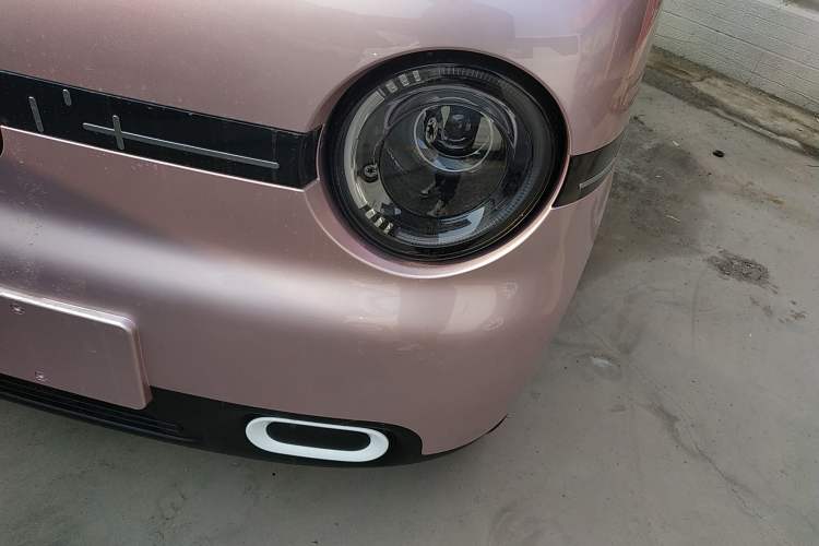 Used  Panda 2025 210 km – Yuanqi Bear
