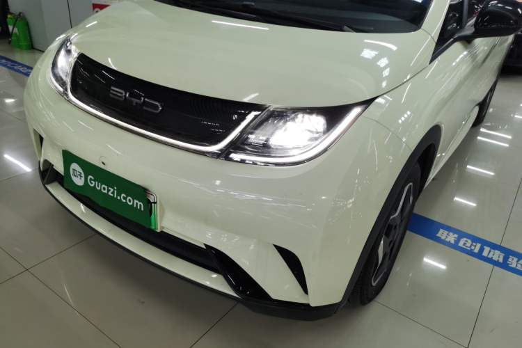 Used BYD Dolphin 2021 405 km Free Version
