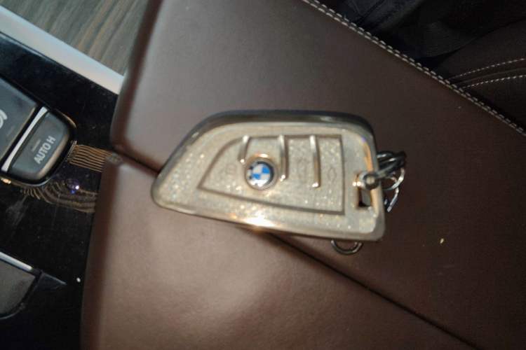 Used BMW 5 Series 2018 530Li Leading Edition Luxury Package
