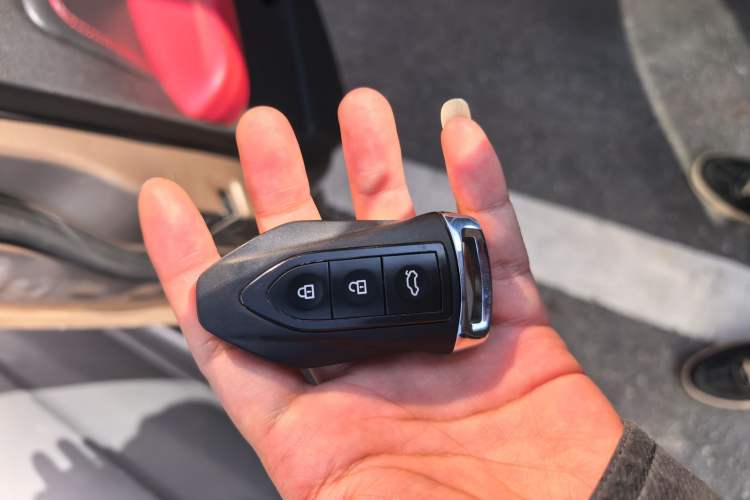 Used Leopaard CS9 2017 1.5L CVT Fashion Edition
