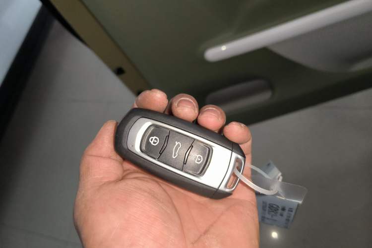 Used  Panda 2025 210km Panda Rider
