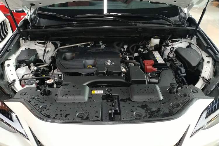 Used Lexus NX 2023 260 Front-Wheel Drive ChuanYou Special Edition
