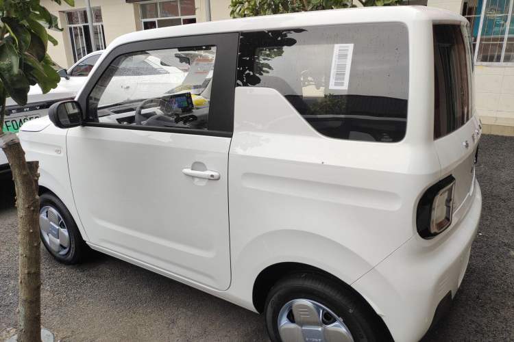 Used  Panda 2024 Panda Mini 200km Endurance Bear
