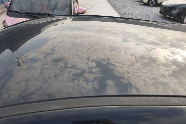 Used SOL E10X 2022 Flower Fairy Style Baby's Breath
