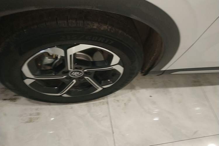 Used BYD Yuan PLUS 2025 Intelligent Driving Version 510 km Leading Edition
