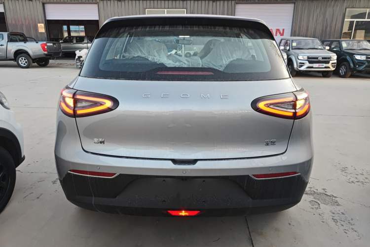 Used  Geome 2025 310km Youth Edition