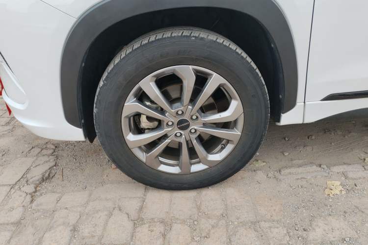 Used  Zhuifeng 2020 Chasing the Waves Edition 1.5T CVT Xingrui Version
