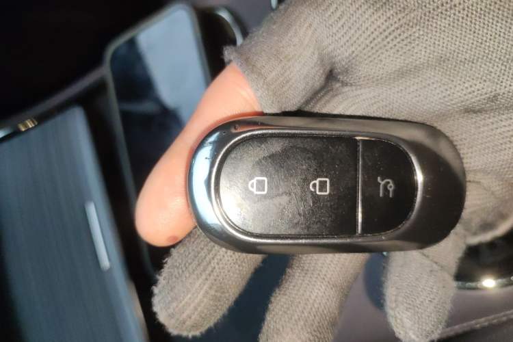 Used Leapmotor C11 2023 Pure Electric 580 All-Wheel-Drive Performance Edition
