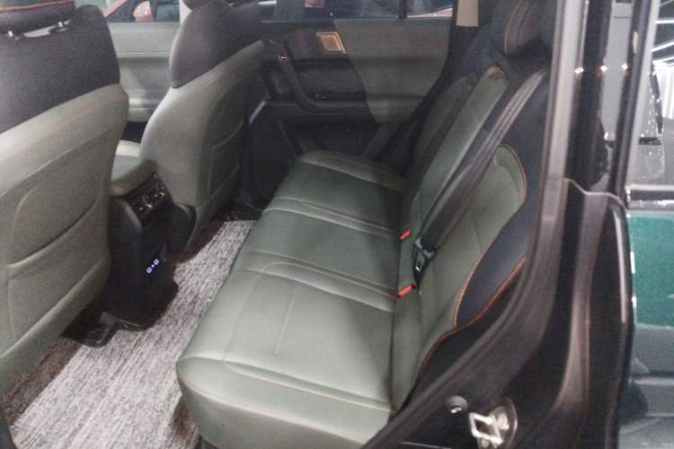 Used  03 2024 501km Two-Wheel Drive Long-Range Version