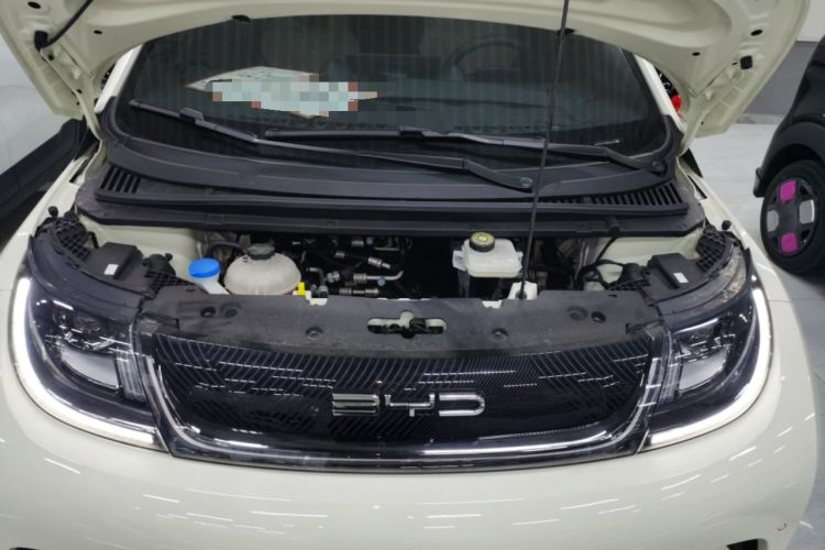 Used BYD Dolphin 2023 420 km Fashion Edition
