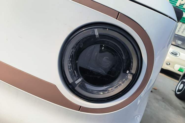 Used  Panda 2024 Panda Mini 200km Endurance Bear
