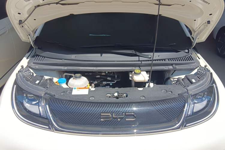 Used BYD Dolphin 2024 Honor Edition 420km Fashion Version
