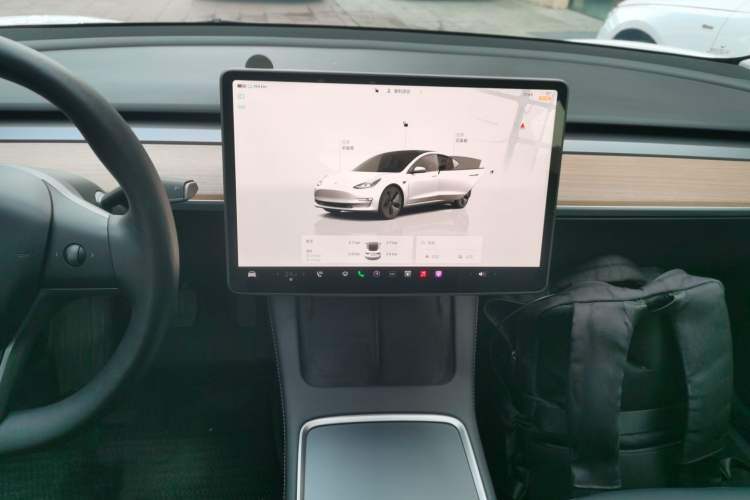 Used Tesla Model 3 2022 Rear-Wheel-Drive Version
