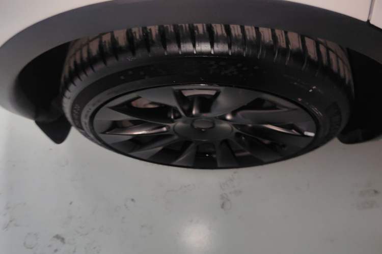 Used Tesla Model Y 2021 Long-Range All-Wheel-Drive Version 3D7