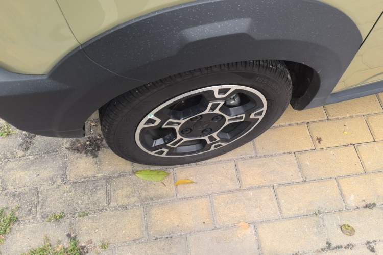 Used  Panda 2024 200km Panda Rider