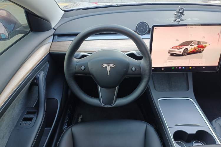 Used Tesla Model 3 2022 Rear-Wheel-Drive Version
