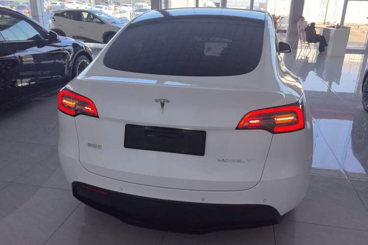 Used Tesla Model Y 2021 Standard Range Rear-Wheel Drive Version
