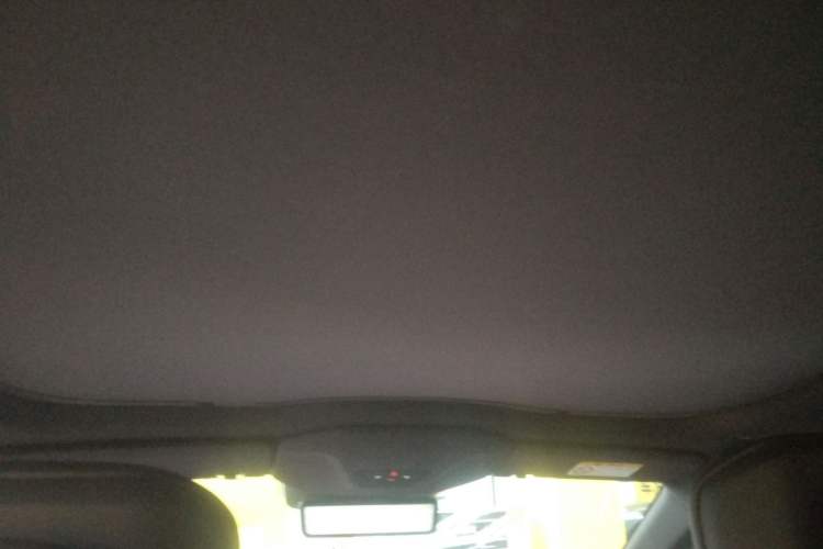 Used  06 2025 Ultra Pure Electric Edition
