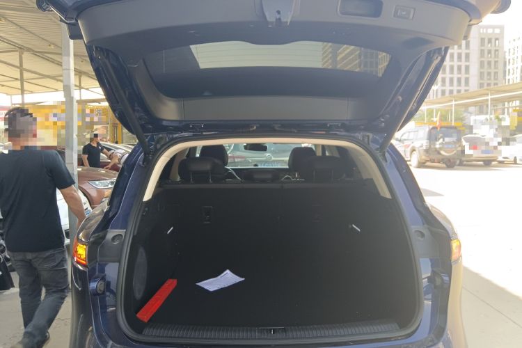 Used VOYAH FREE 2021 Four-Wheel Drive Standard Range-Extended Exclusive Luxury Package