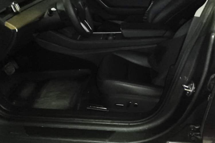 Used Tesla Model 3 2021 Standard Range Rear-Wheel Drive Upgraded Version 3D6
