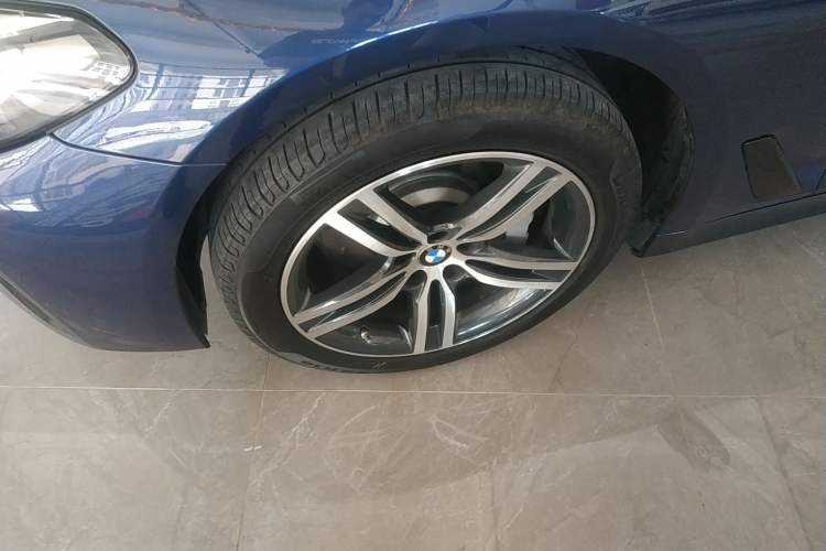 Used BMW 5 Series 2021 530Li Leading Luxury Package