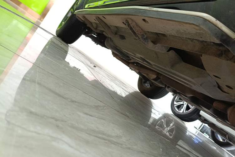 Used Haval DARGO 2021 2.0T DCT 4x4 Chinese Rural Dog Edition
