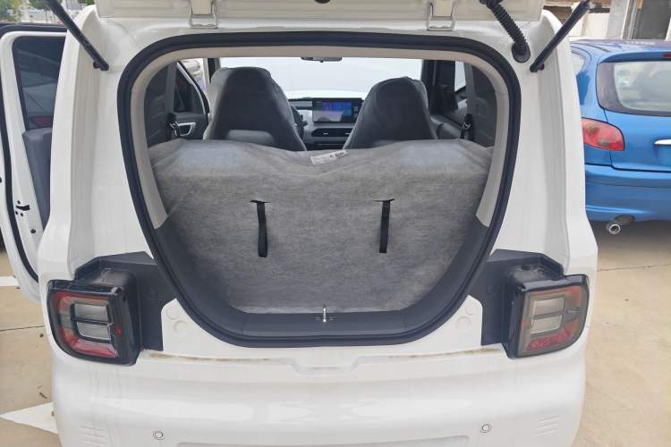 Used  Panda 2024 Panda Mini 200km Endurance Bear
