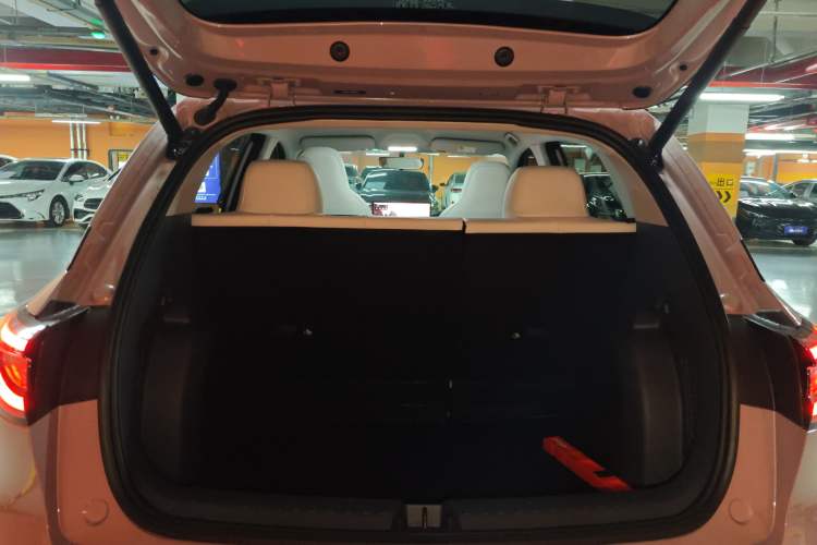 Used  Geome 2025 310km Dream Edition
