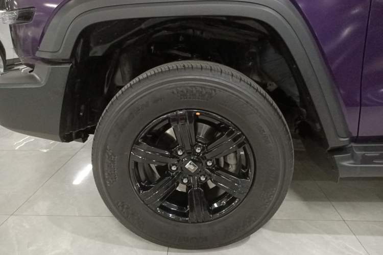 Used Tank 300 2024 2.0T Conqueror