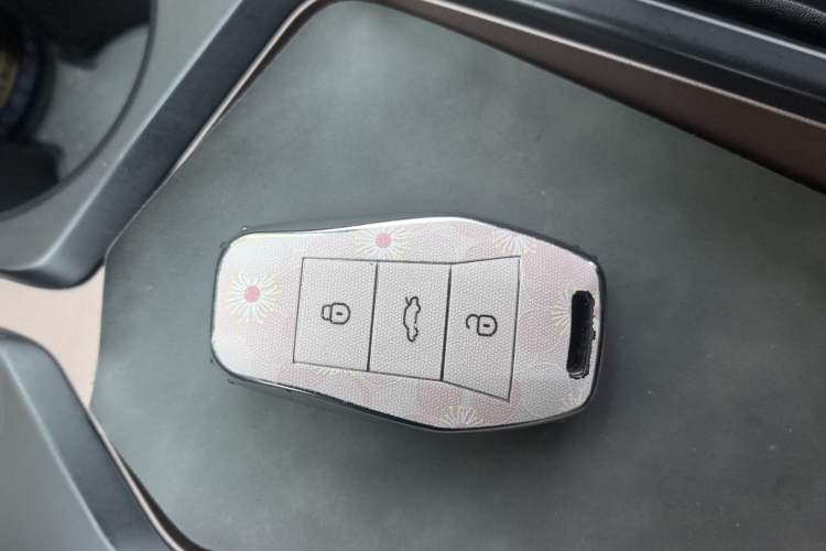 Used SOL E10X 2021 Jimei Edition 302km Fashionable Model