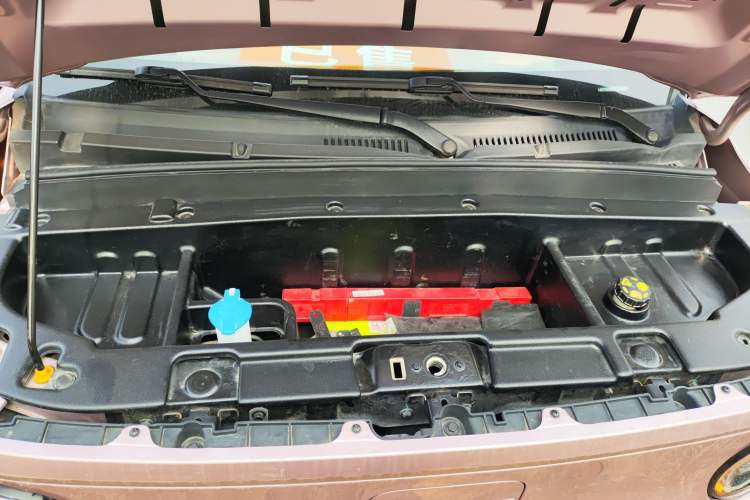 Used  Panda 2023 Panda Mini 200km Endurance Bear
