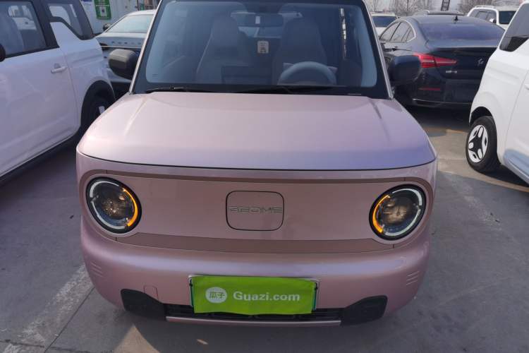 Used  Panda 2024 Panda Mini 200km Endurance Bear