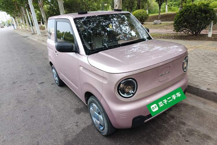 Used  Panda 2023 Panda Mini 200km Endurance Bear
