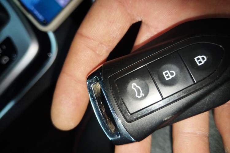 Used Leopaard CS10 2016 2.0T Automatic Luxury Version
