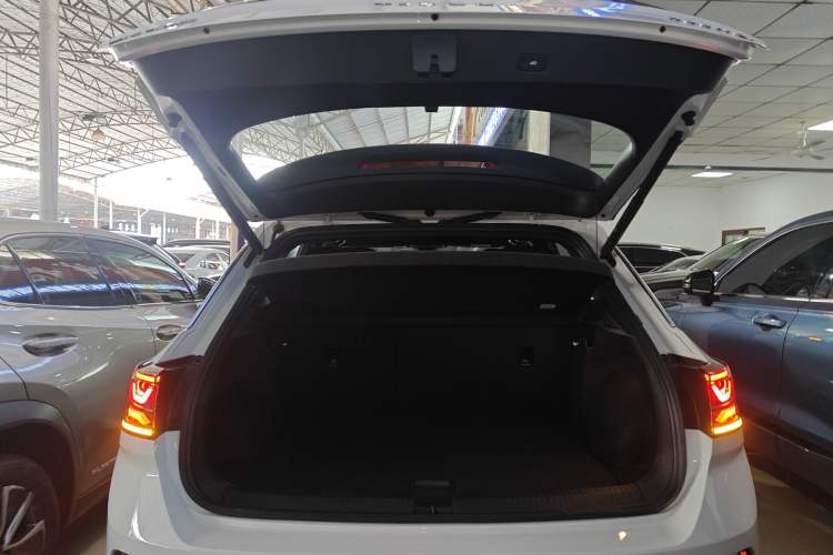 Used Volkswagen T-ROC 2024 300TSI DSG Two-Wheel-Drive Chen Guang Edition
