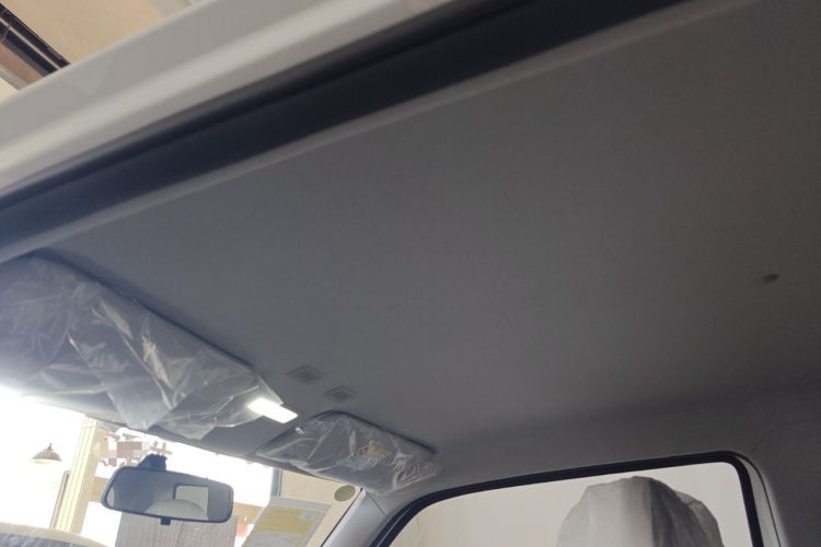 Used  Panda 2025 210 km – Yuanqi Bear