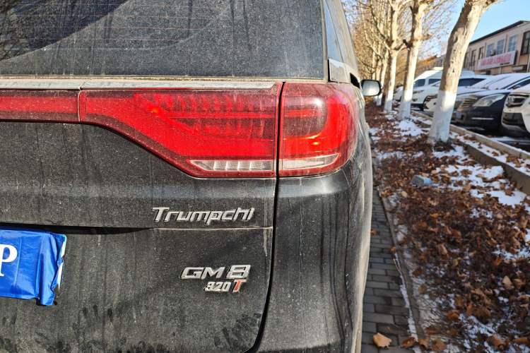 Used GAC Trumpchi M8 2018 320T Luxury Edition