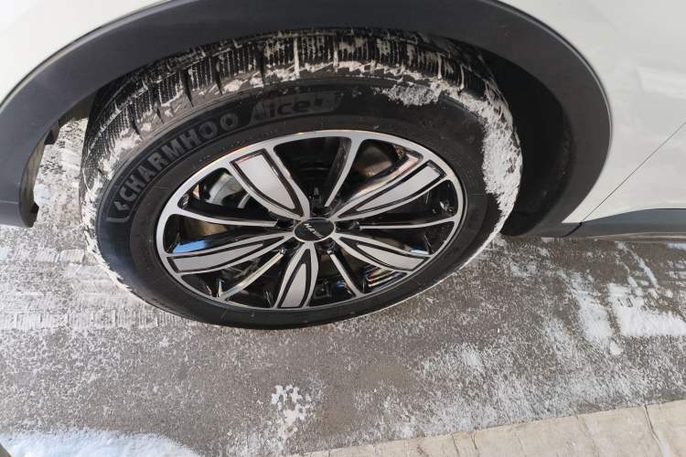 Used Haval H6 2023 National Trend Edition 1.5T Automatic Champion Version
