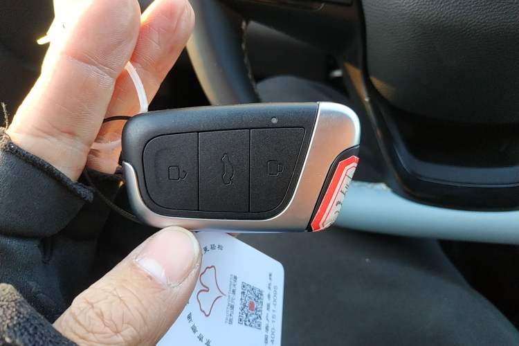 Used Chery Little Ant 2024 251km True Love Edition