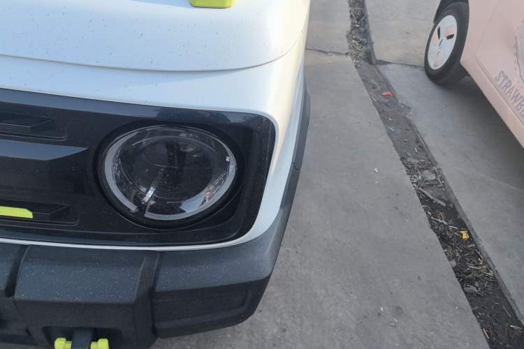 Used  Panda 2024 200km Panda Rider