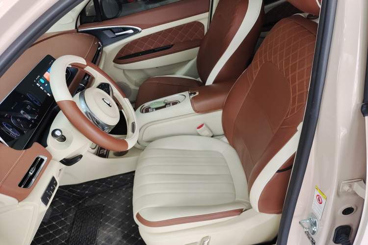 Used ORA Good Cat 2023 401 km Standard Range Luxury Version Lithium Iron Phosphate
